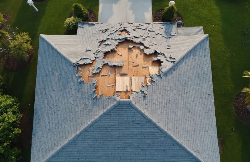 Damaged Roof Repair