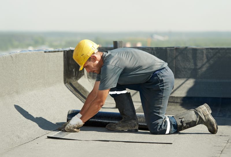 Professional Roofing Contractors